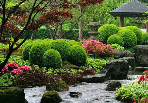 Технік ландшафтного дизайну