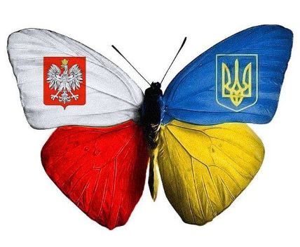 Технік фотографії та мультимедіа