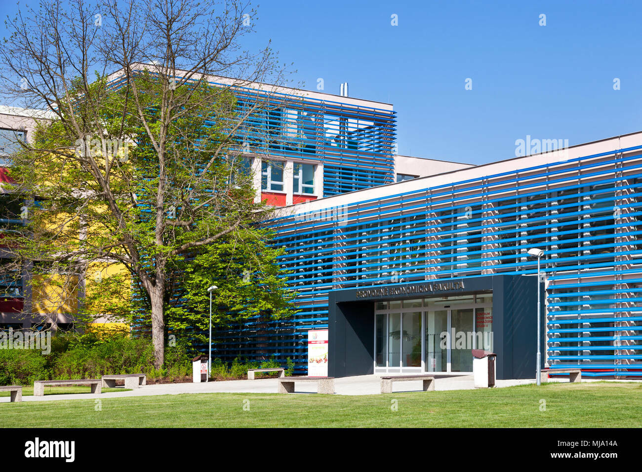 Вища школа економіки в Празі