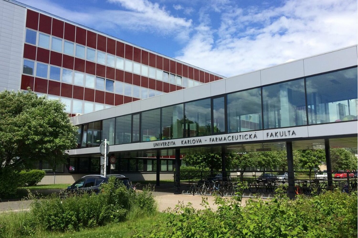 Карлів університет